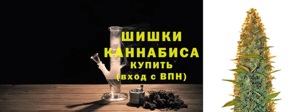 ешки Бронницы