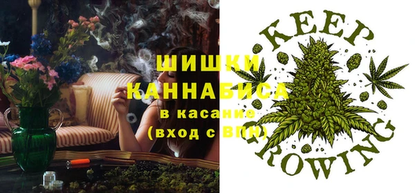 дживик Верхний Тагил