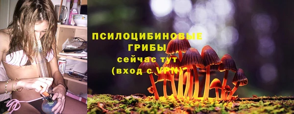 соль ск Верея