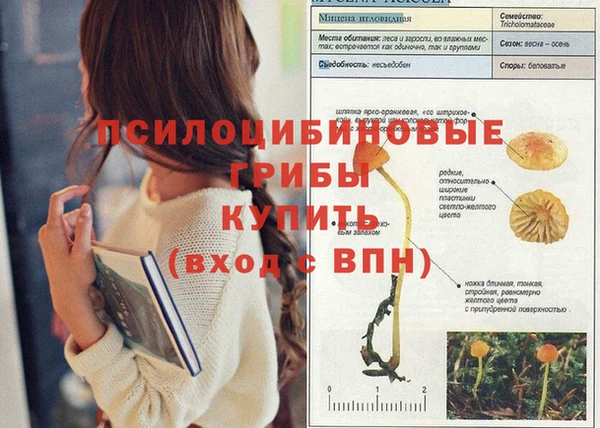 дживик Верхний Тагил