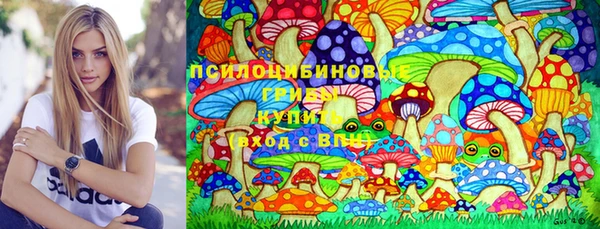 дживик Верхний Тагил