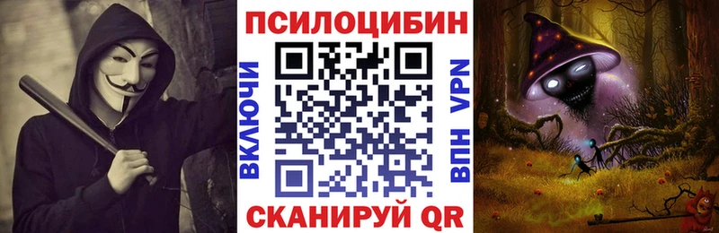 Галлюциногенные грибы мицелий  сколько стоит  Медногорск 
